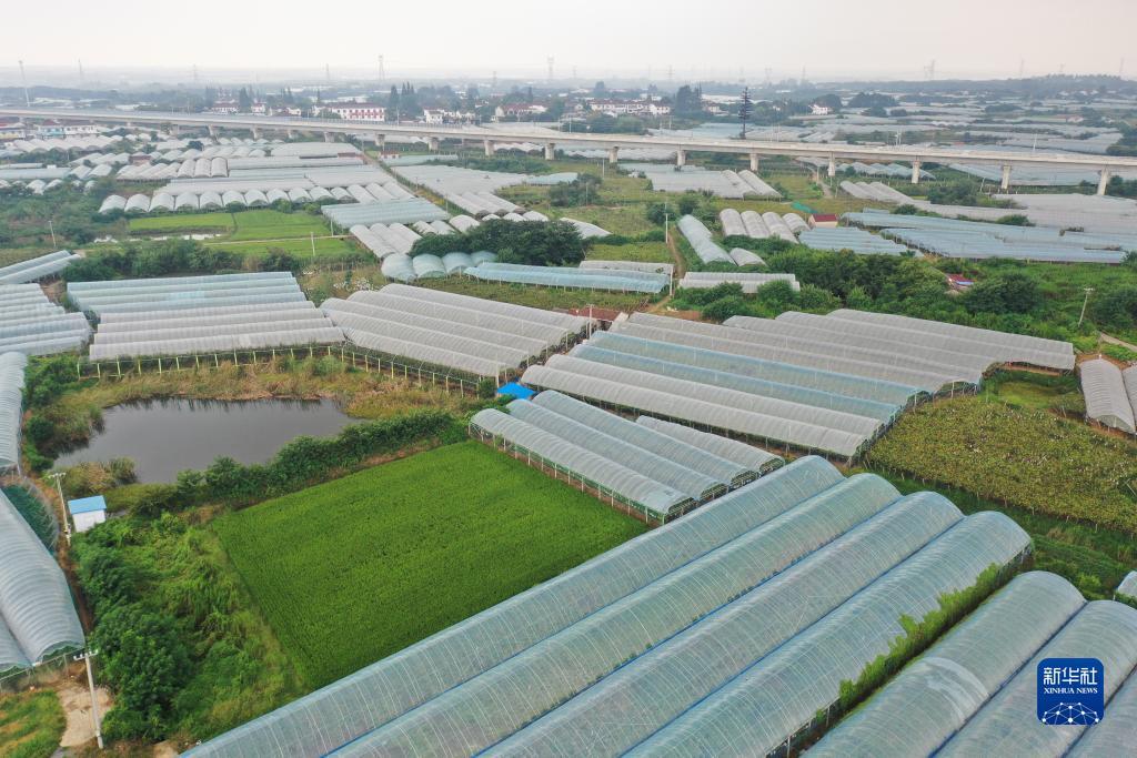 捉鱼游戏网